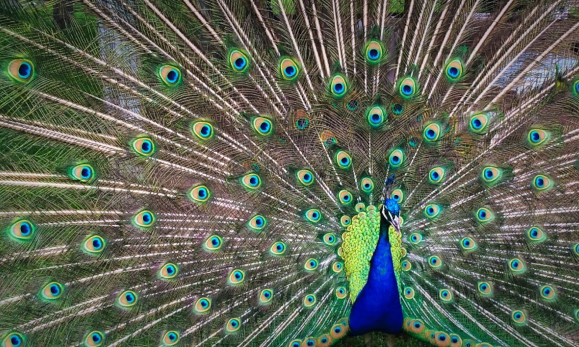 Sustainability narratives in accounting: How to move beyond window-dressing